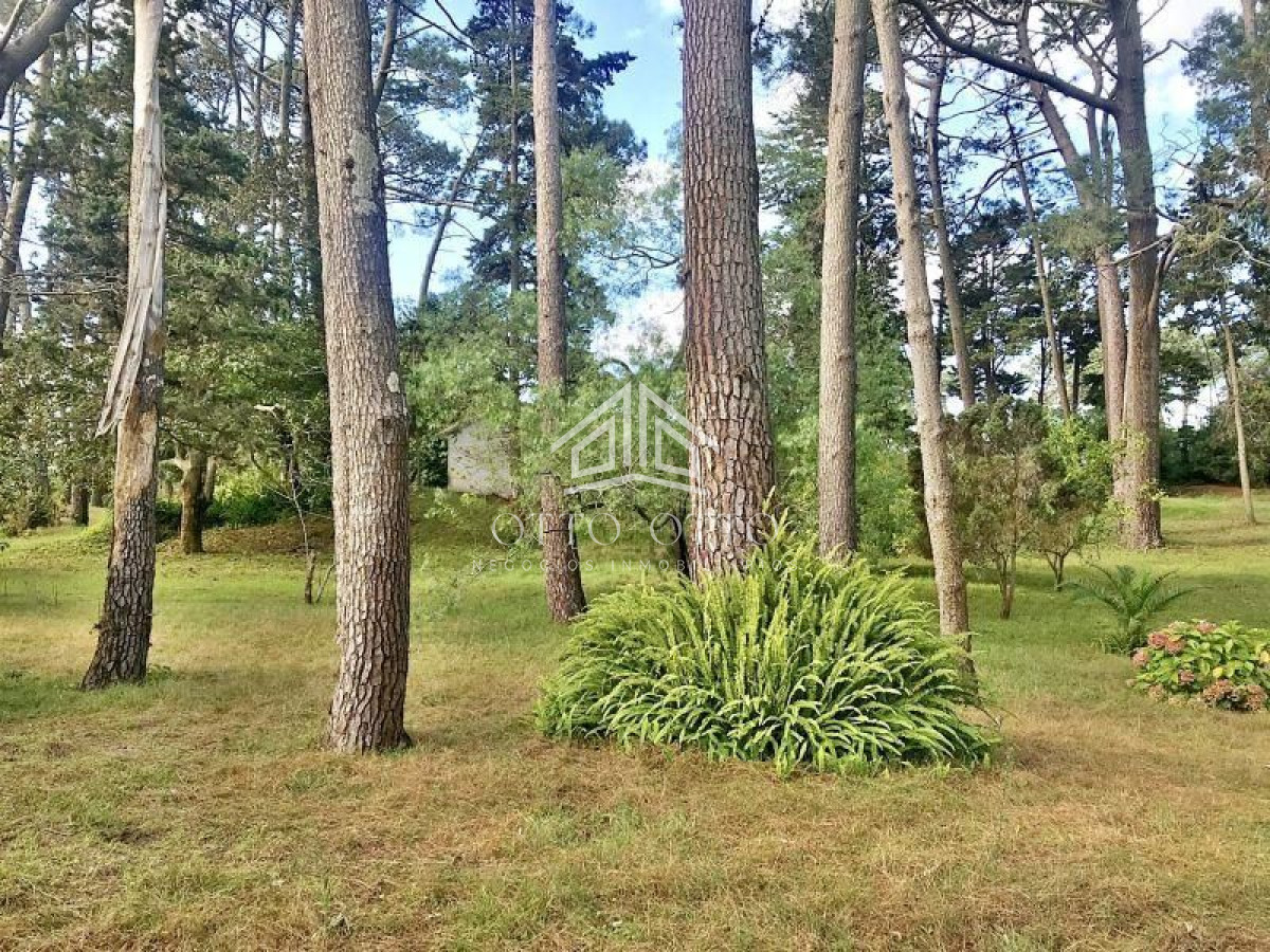Terreno ID.4652 - Terreno en venta Cantegril 
