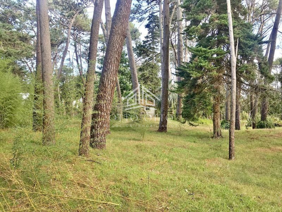 Terreno ID.4652 - Terreno en venta Cantegril 
