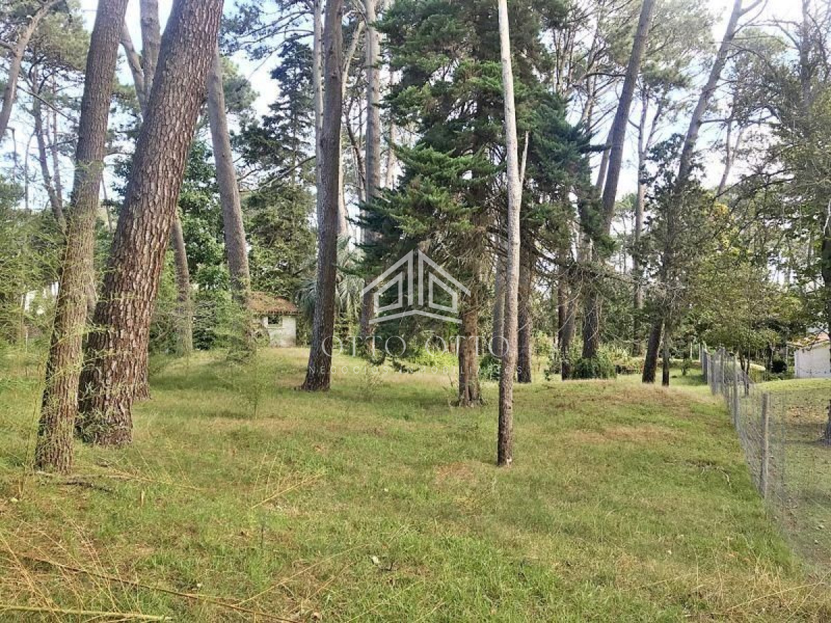 Terreno ID.4652 - Terreno en venta Cantegril 