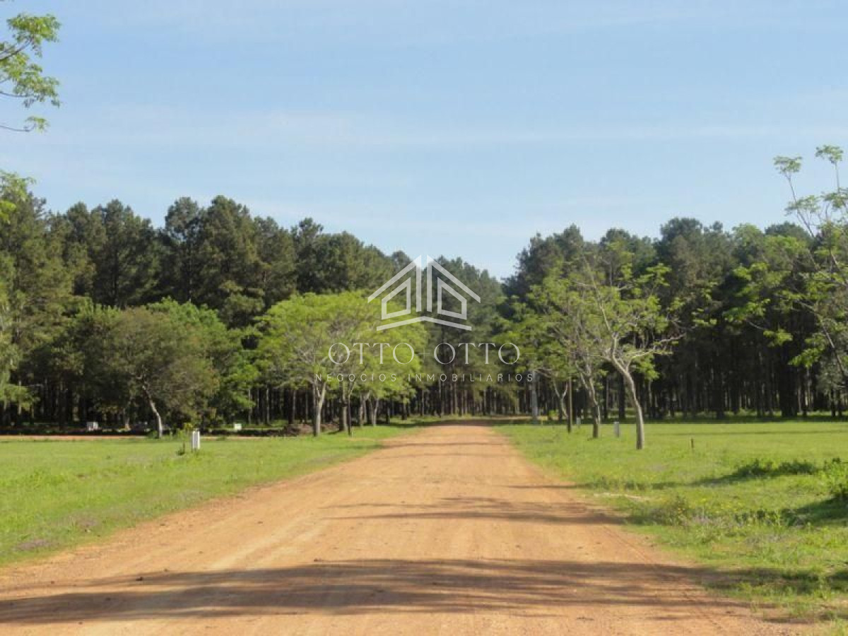Terreno ID.4674 - Terreno en venta Punta Del Este 
