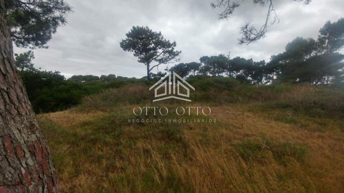 Terreno ID.5094 - Terreno en venta Rincón Del Indio 