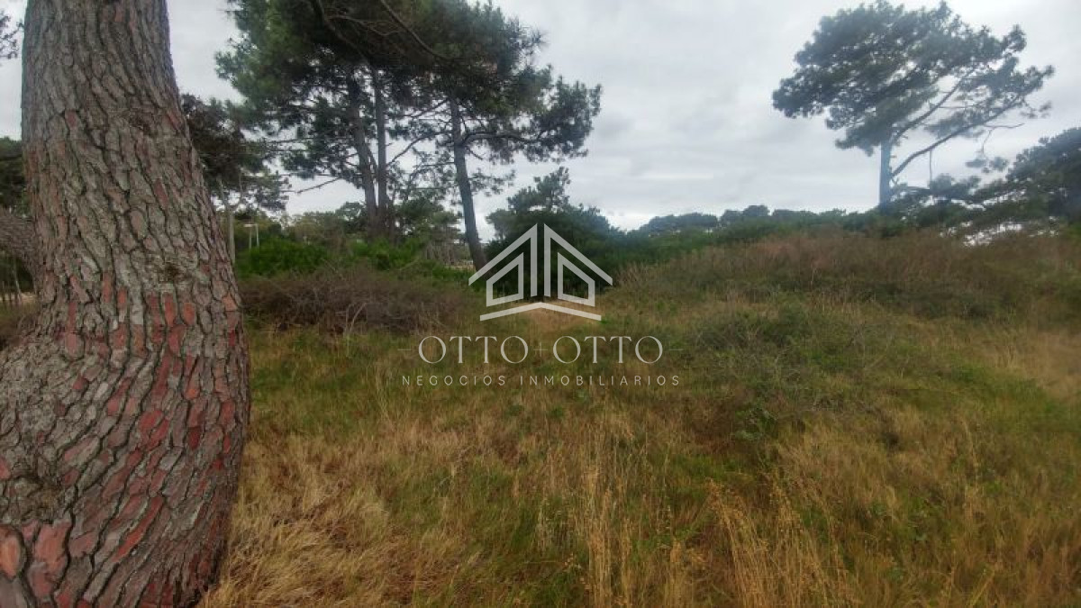 Terreno ID.5094 - Terreno en venta Rincón Del Indio 