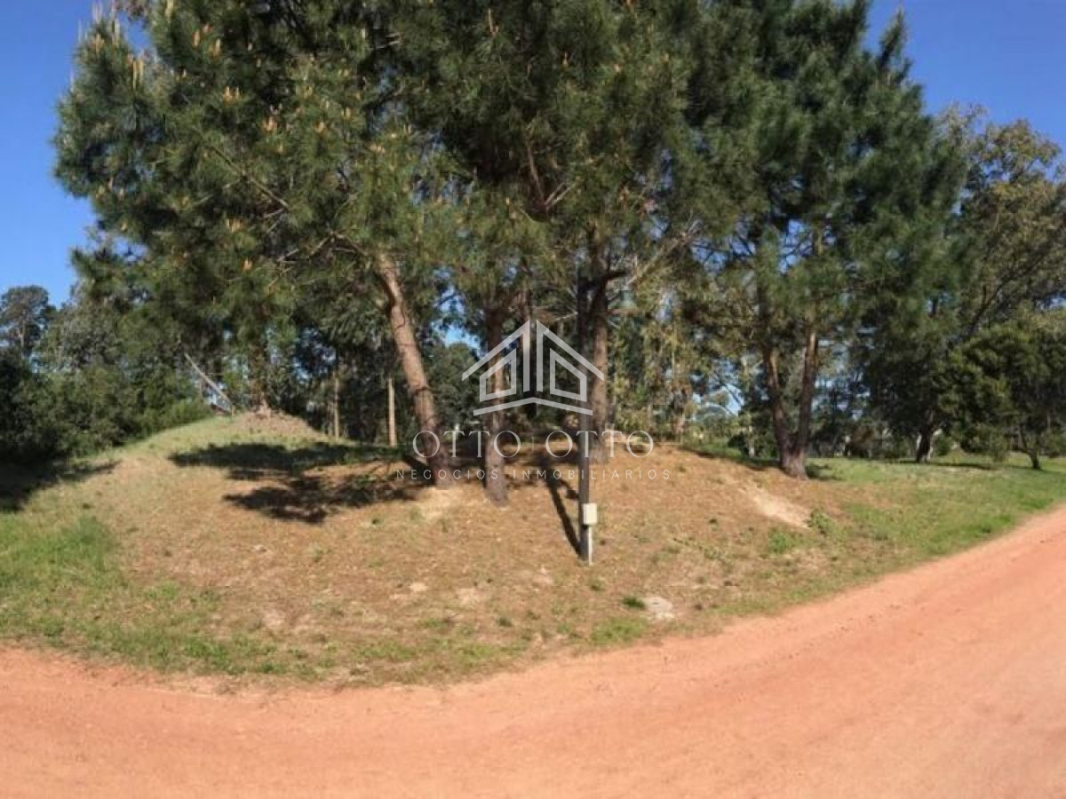 Terreno ID.960 - Terreno en venta La Arbolada 
