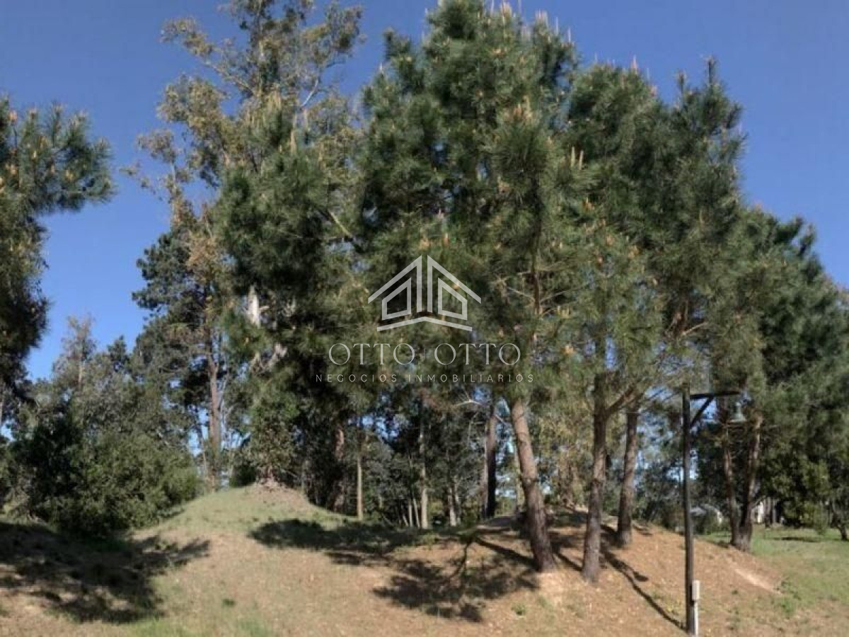 Terreno ID.960 - Terreno en venta La Arbolada 