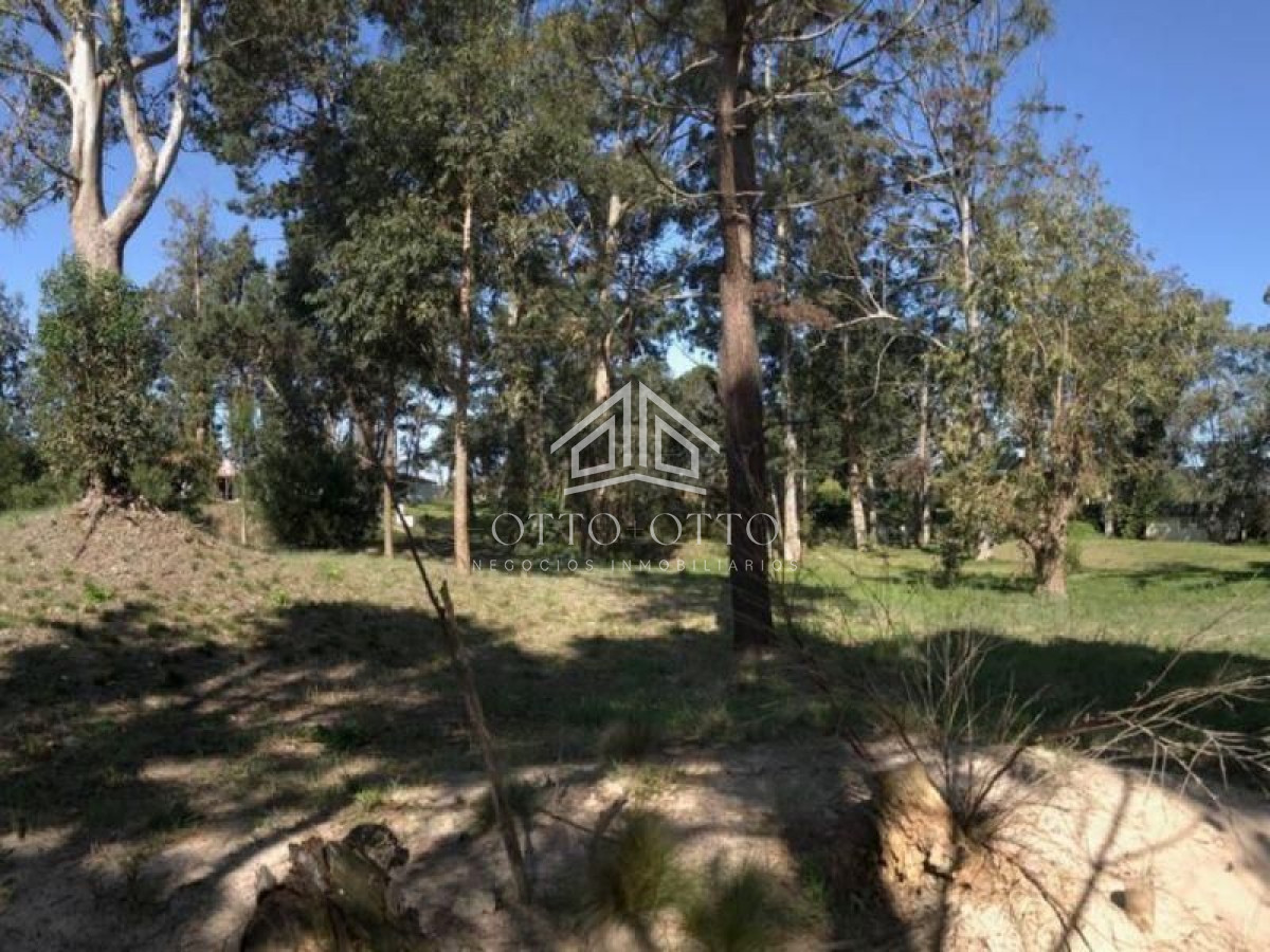 Terreno ID.960 - Terreno en venta La Arbolada 