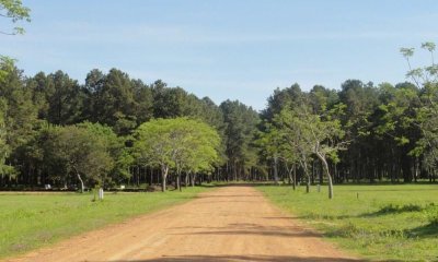 Terreno en venta Punta Del Este