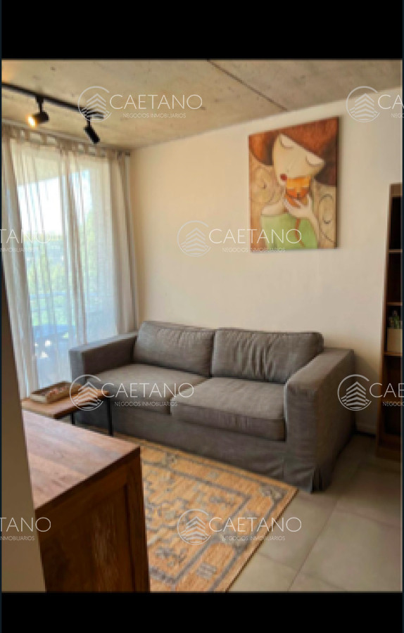 Nuevo Cantegril - GoPunta - Portal Inmobiliario de Punta del Este - Maldonado