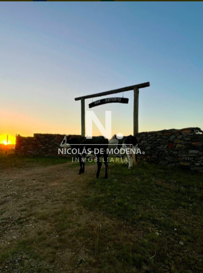 IMPERDIBLE CHACRA EN VENTA   LAVALLEJA - GoPunta - Portal Inmobiliario de Punta del Este - Maldonado