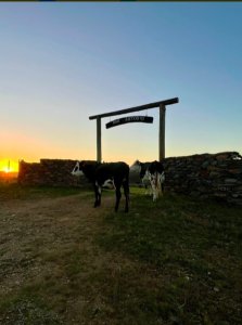 IMPERDIBLE CHACRA EN VENTA - LAVALLEJA