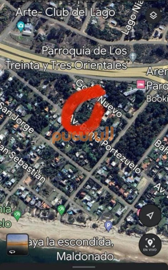 Tio Tom - GoPunta - Portal Inmobiliario de Punta del Este - Maldonado