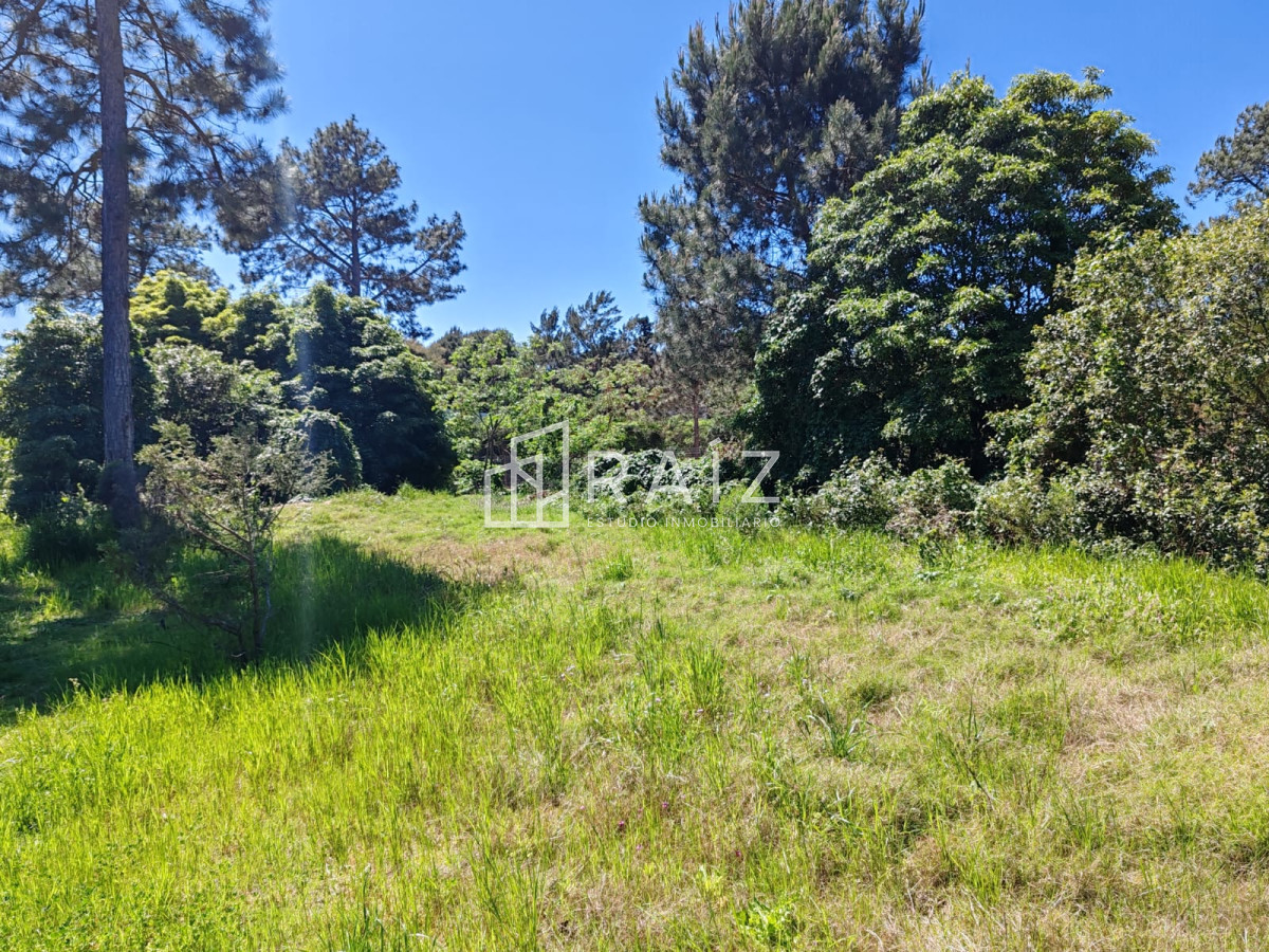 Terreno ID.10472 - En venta terreno en Tío Tom