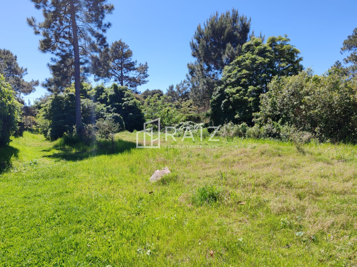 Terreno ID.10472 - En venta terreno en Tío Tom