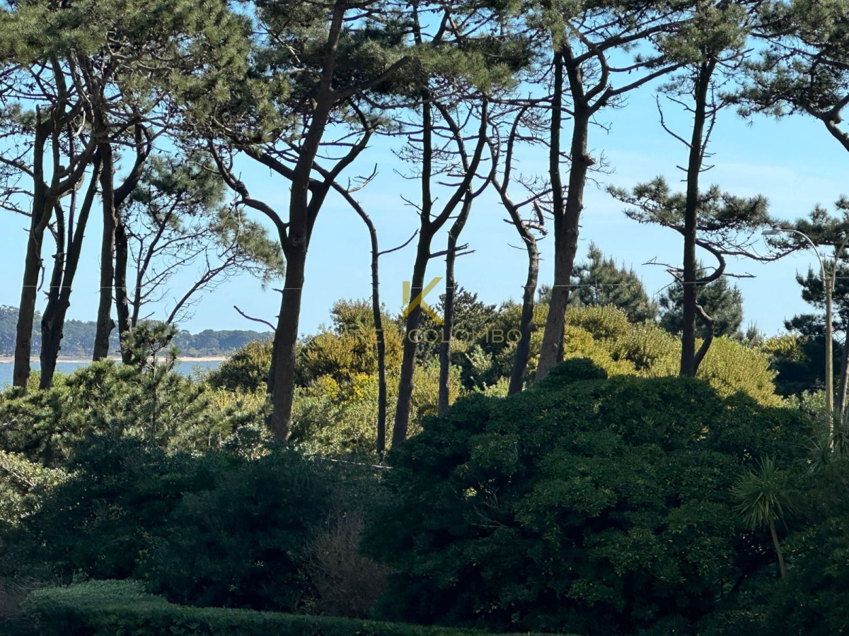 Propiedad - GoPunta - Portal Inmobiliario de Punta del Este - Maldonado