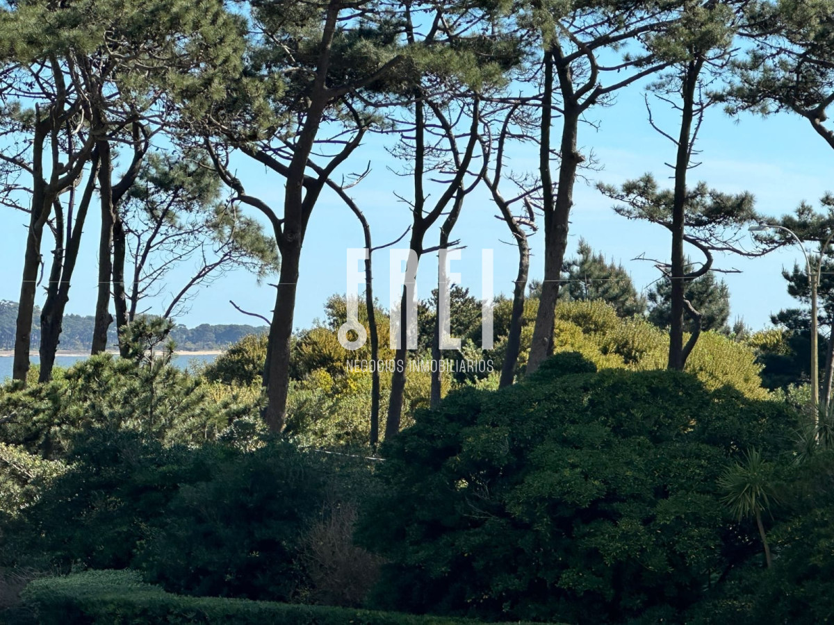 Apartamento ID.125 - Apartamento en Punta del Este, Mansa