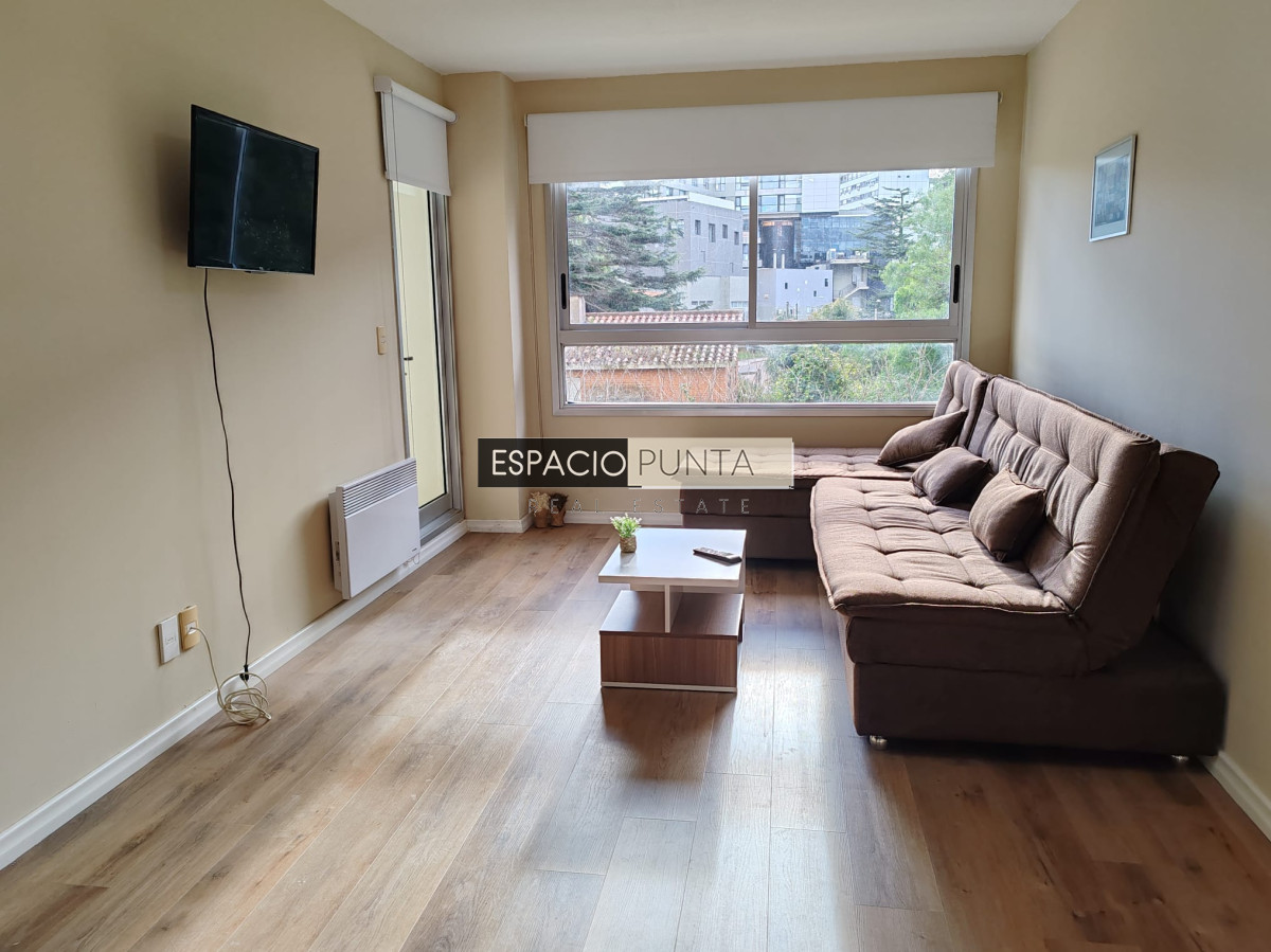 Apartamento ID.836 - Cómodo apartamento de 1 dormitorio en alquiler invernal