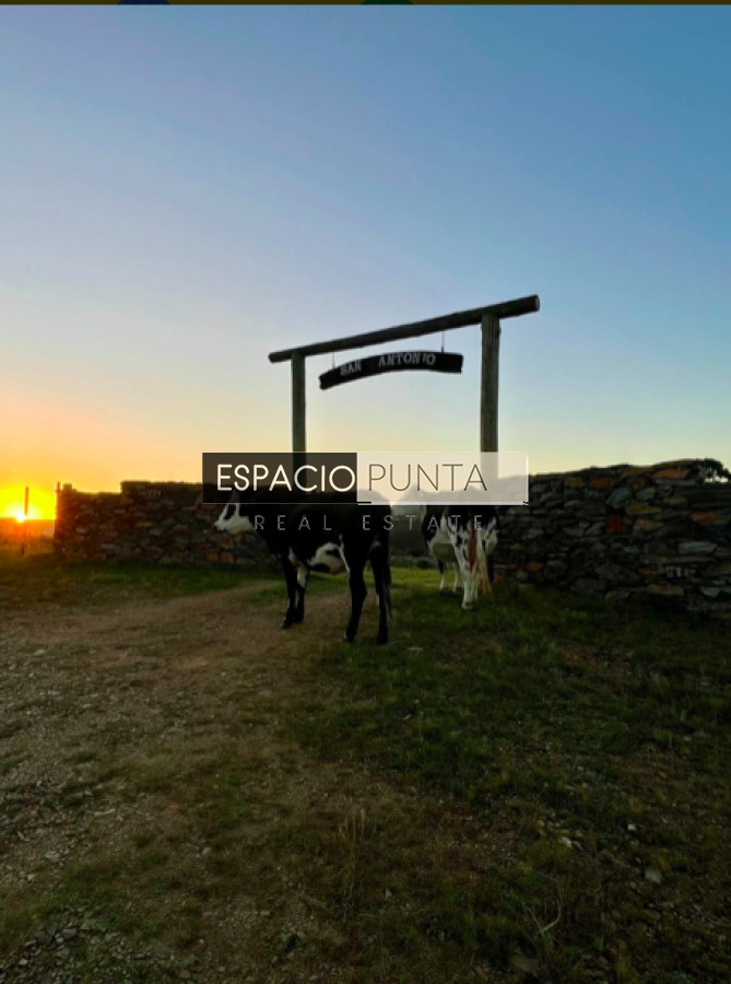 Chacra ID.2431 - IMPERDIBLE CHACRA EN VENTA - LAVALLEJA