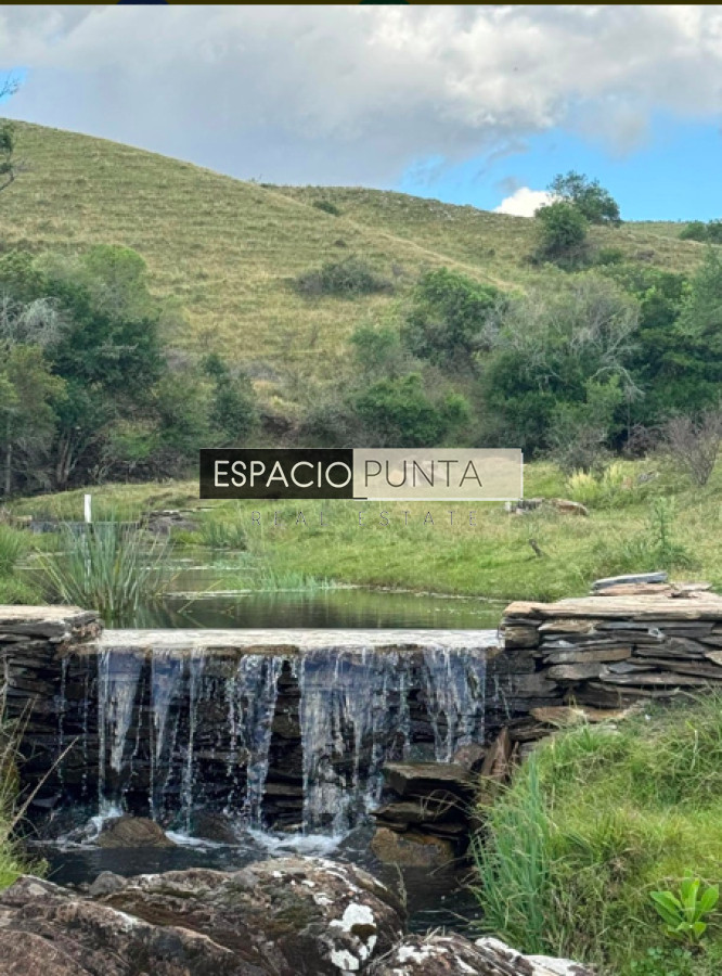 Chacra ID.2431 - IMPERDIBLE CHACRA EN VENTA - LAVALLEJA