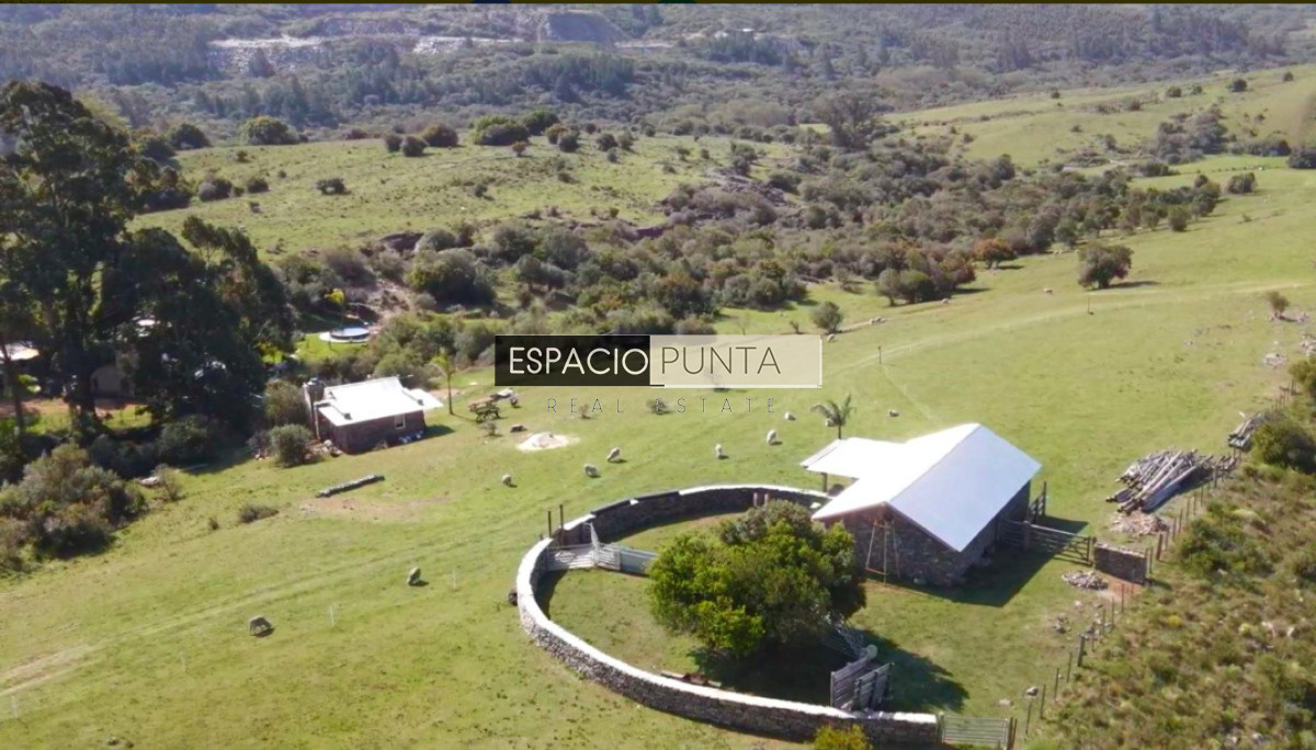 Chacra ID.2431 - IMPERDIBLE CHACRA EN VENTA - LAVALLEJA