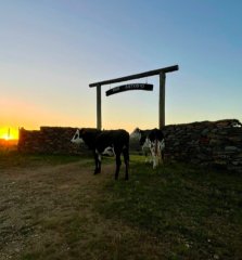 IMPERDIBLE CHACRA EN VENTA - LAVALLEJA
