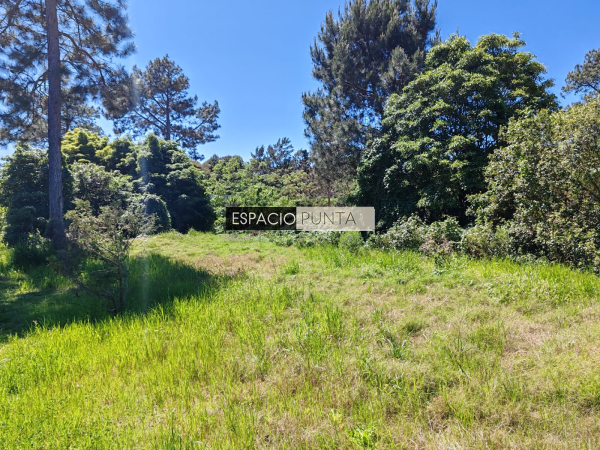 Terreno ID.2032 - En venta terreno en Tío Tom a pasos de la playa