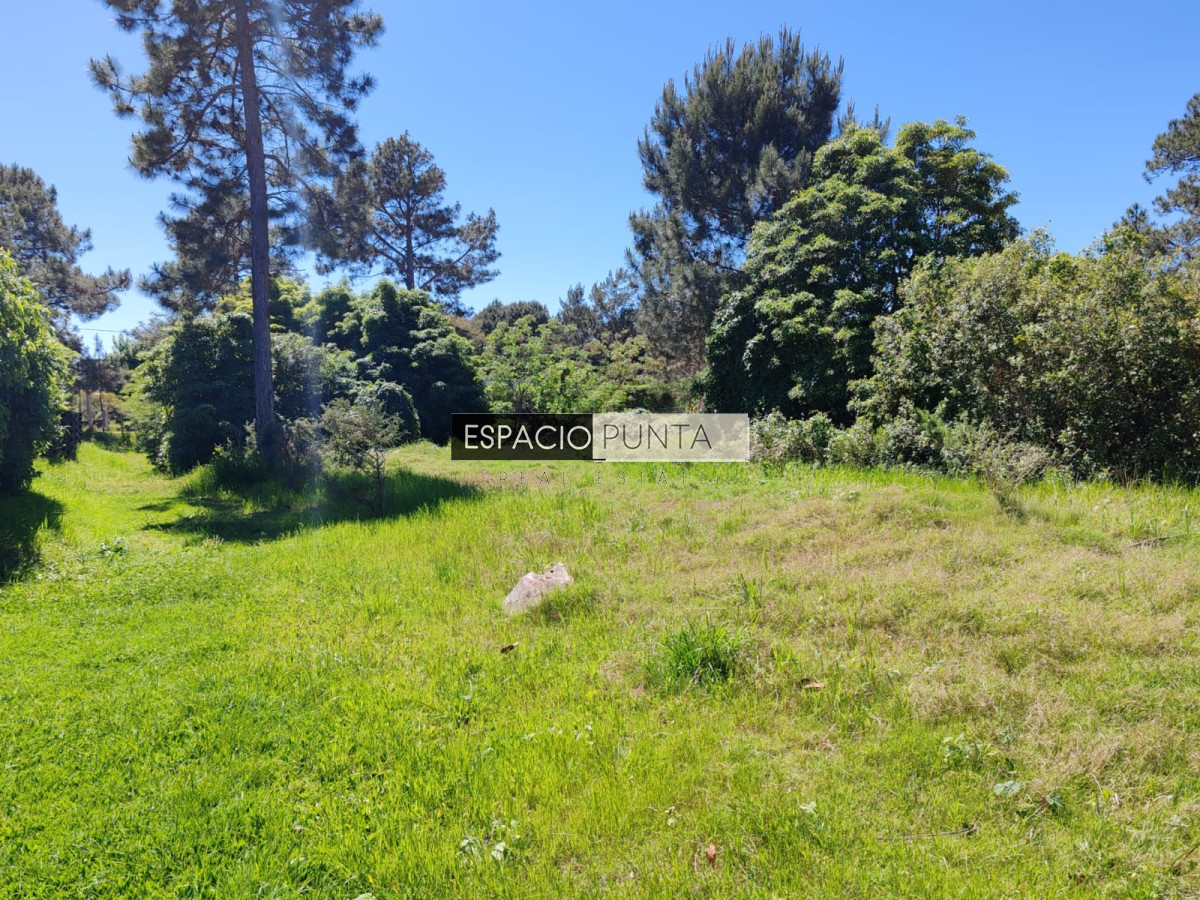 Terreno ID.2032 - En venta terreno en Tío Tom a pasos de la playa