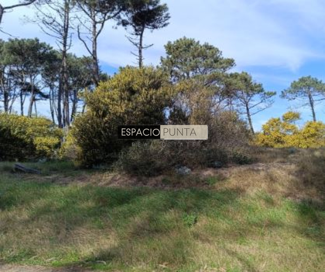Terreno ID.1818 - Terreno en venta en Tio Tom