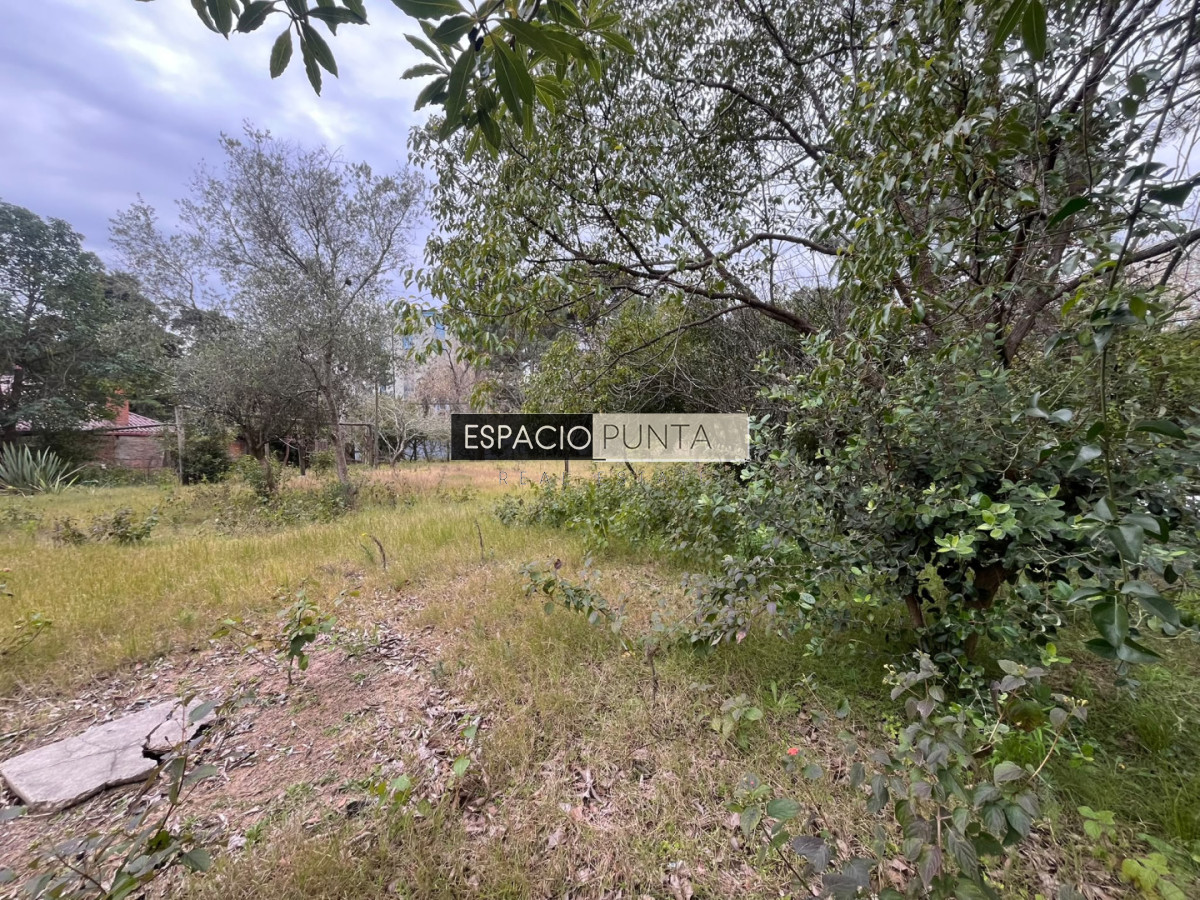 Terreno ID.5009 - Terreno en Lugano