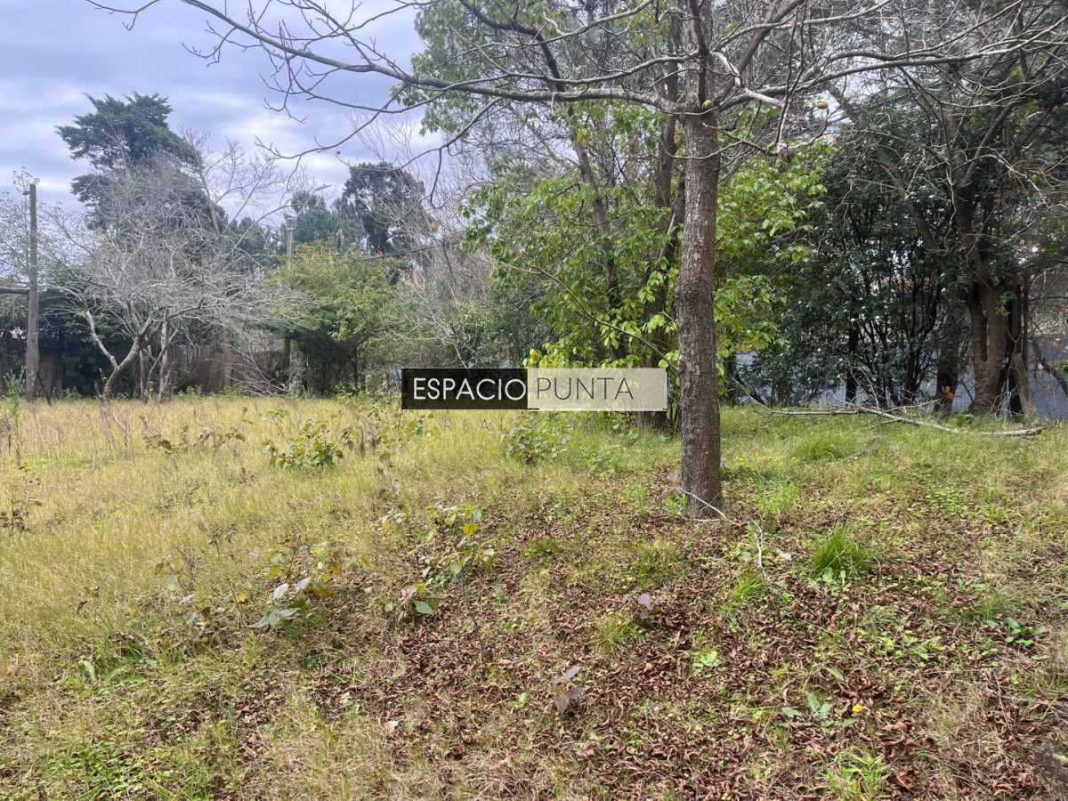 Terreno ID.5009 - Terreno en Lugano