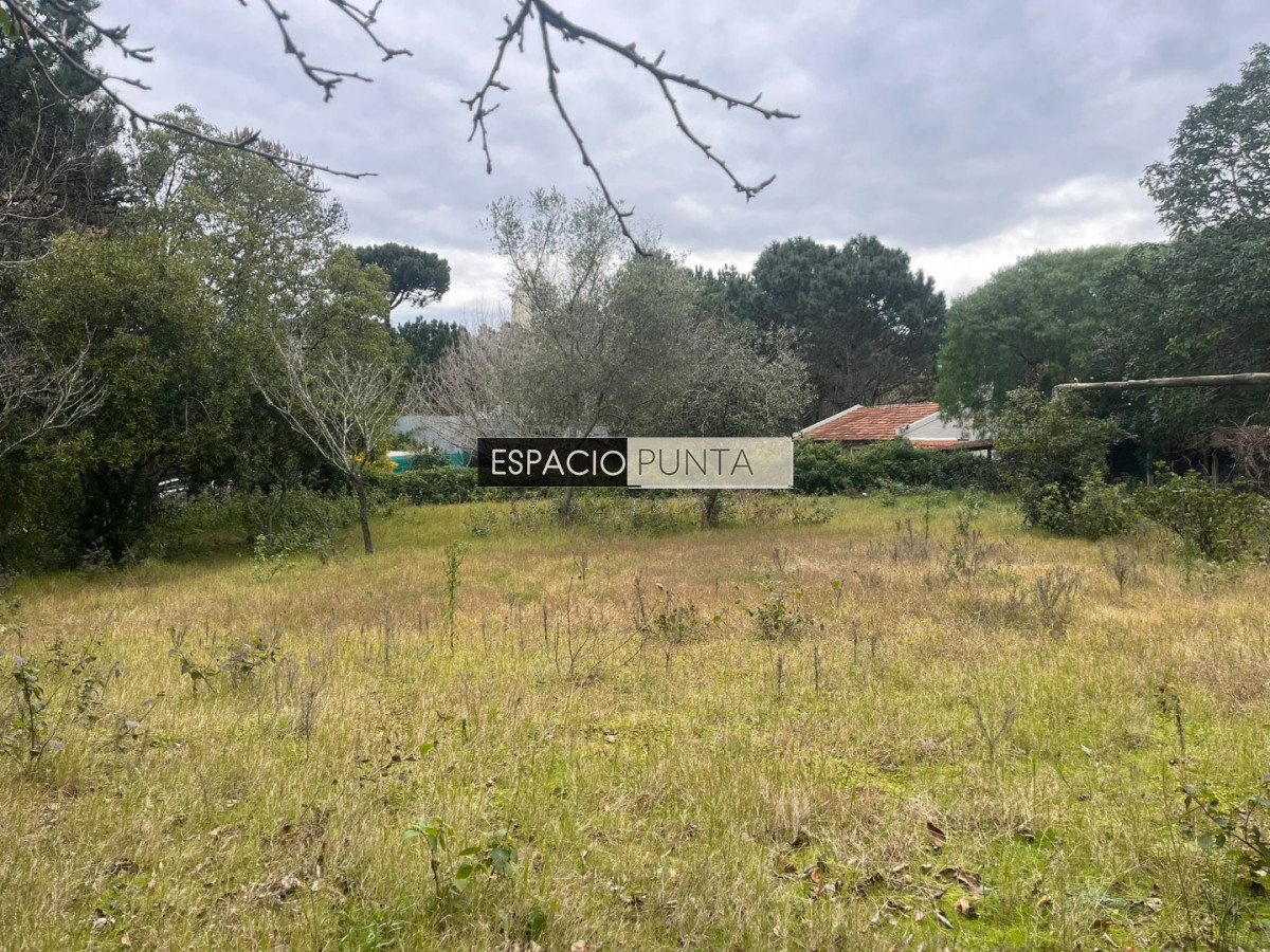 Terreno ID.5009 - Terreno en Lugano