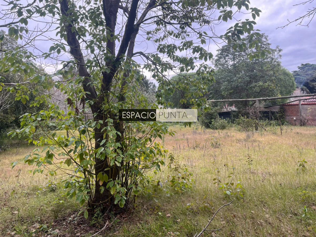 Terreno ID.5009 - Terreno en Lugano