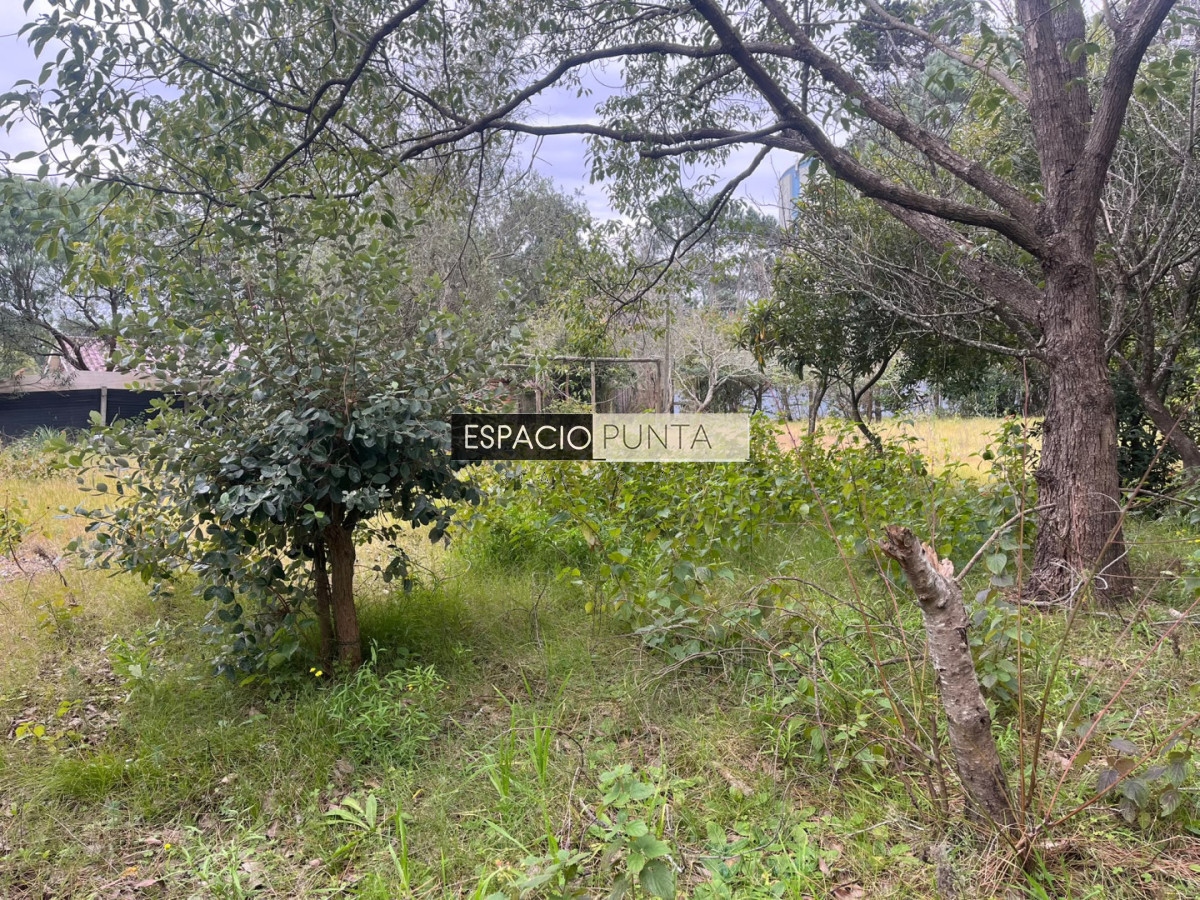 Terreno ID.5009 - Terreno en Lugano