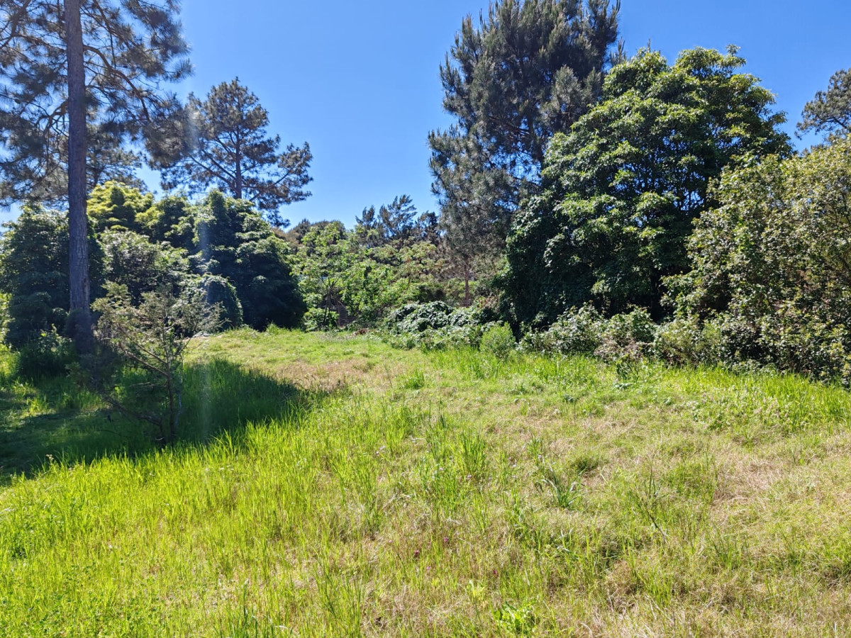 En venta terreno en Tío Tom