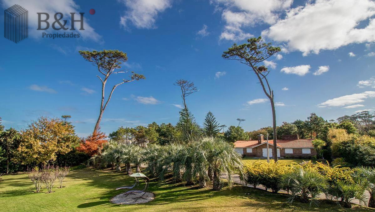 Pinares - GoPunta - Portal Inmobiliario de Punta del Este - Maldonado
