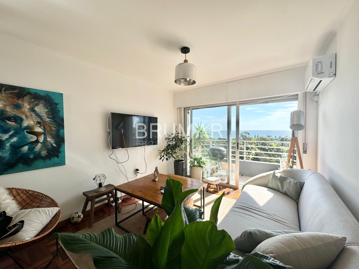 Punta Carretas - GoPunta - Portal Inmobiliario de Punta del Este - Maldonado