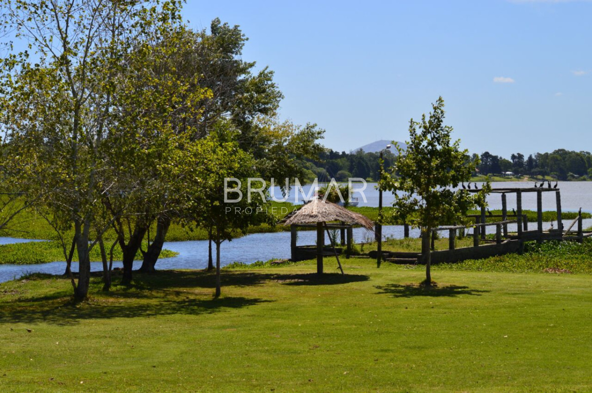 Chacra ID.655 - Venta chacra en Laguna del sauce