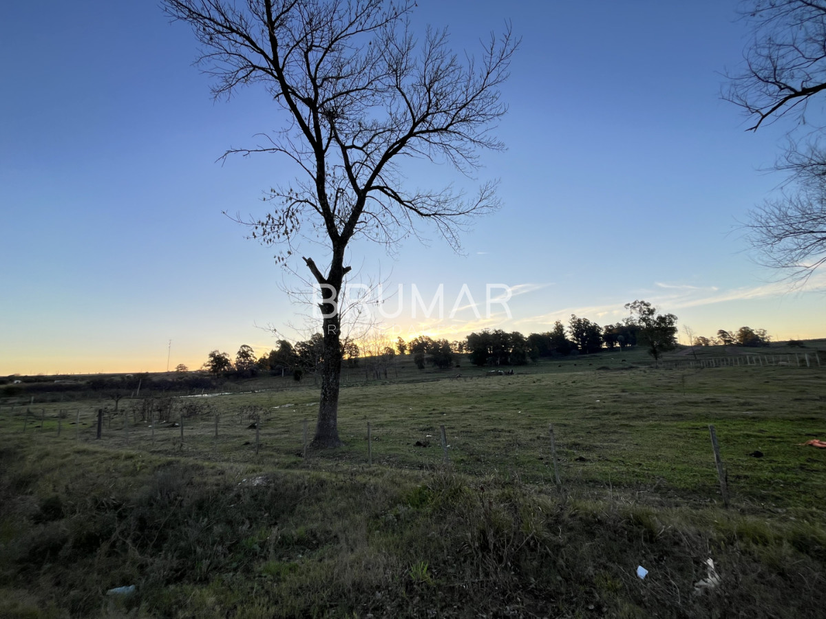 Chacra ID.847 - Chacra en venta en zona Rural de Paysandu