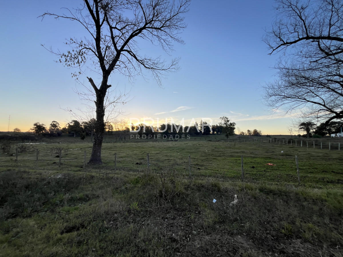 Chacra ID.847 - Chacra en venta en zona Rural de Paysandu