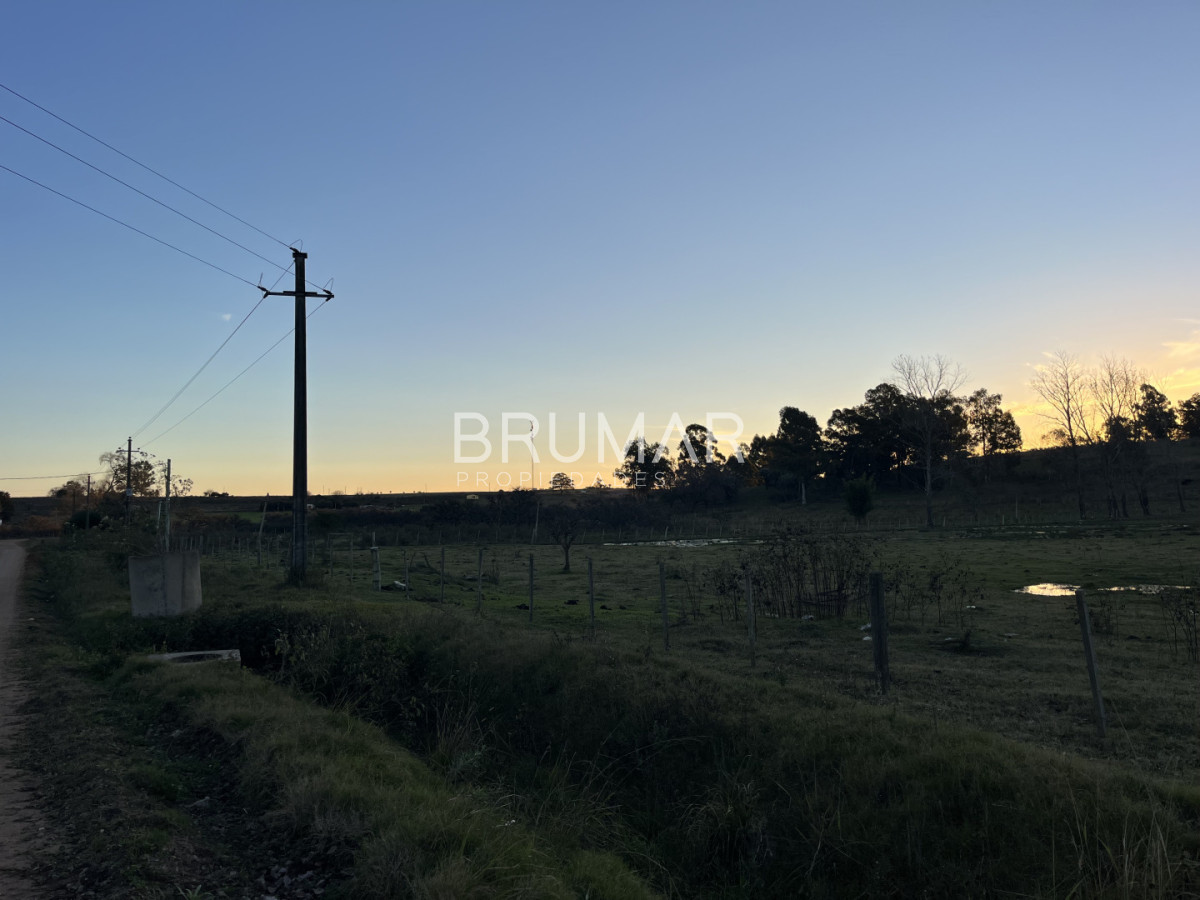 Chacra ID.847 - Chacra en venta en zona Rural de Paysandu