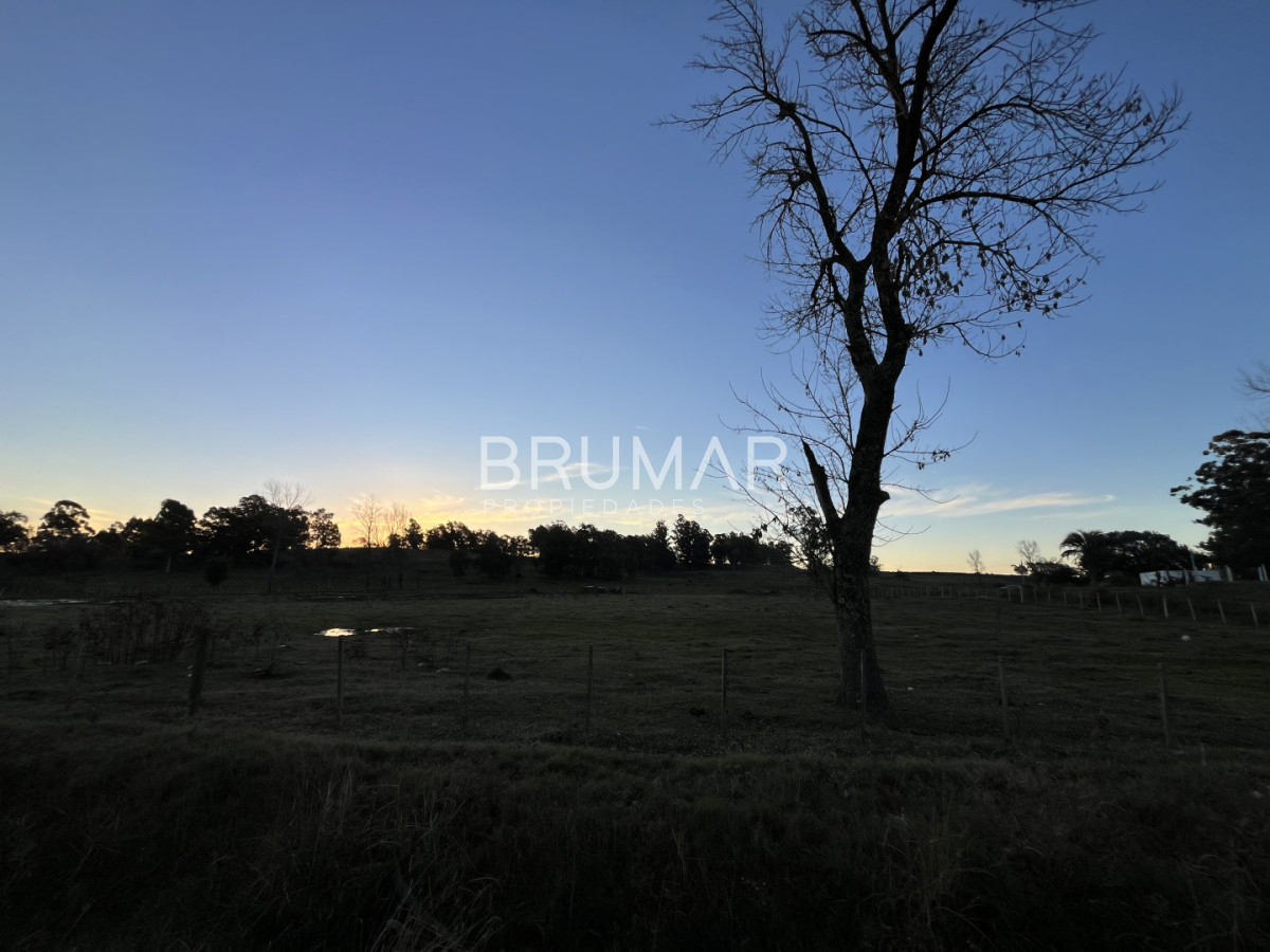 Chacra ID.847 - Chacra en venta en zona Rural de Paysandu