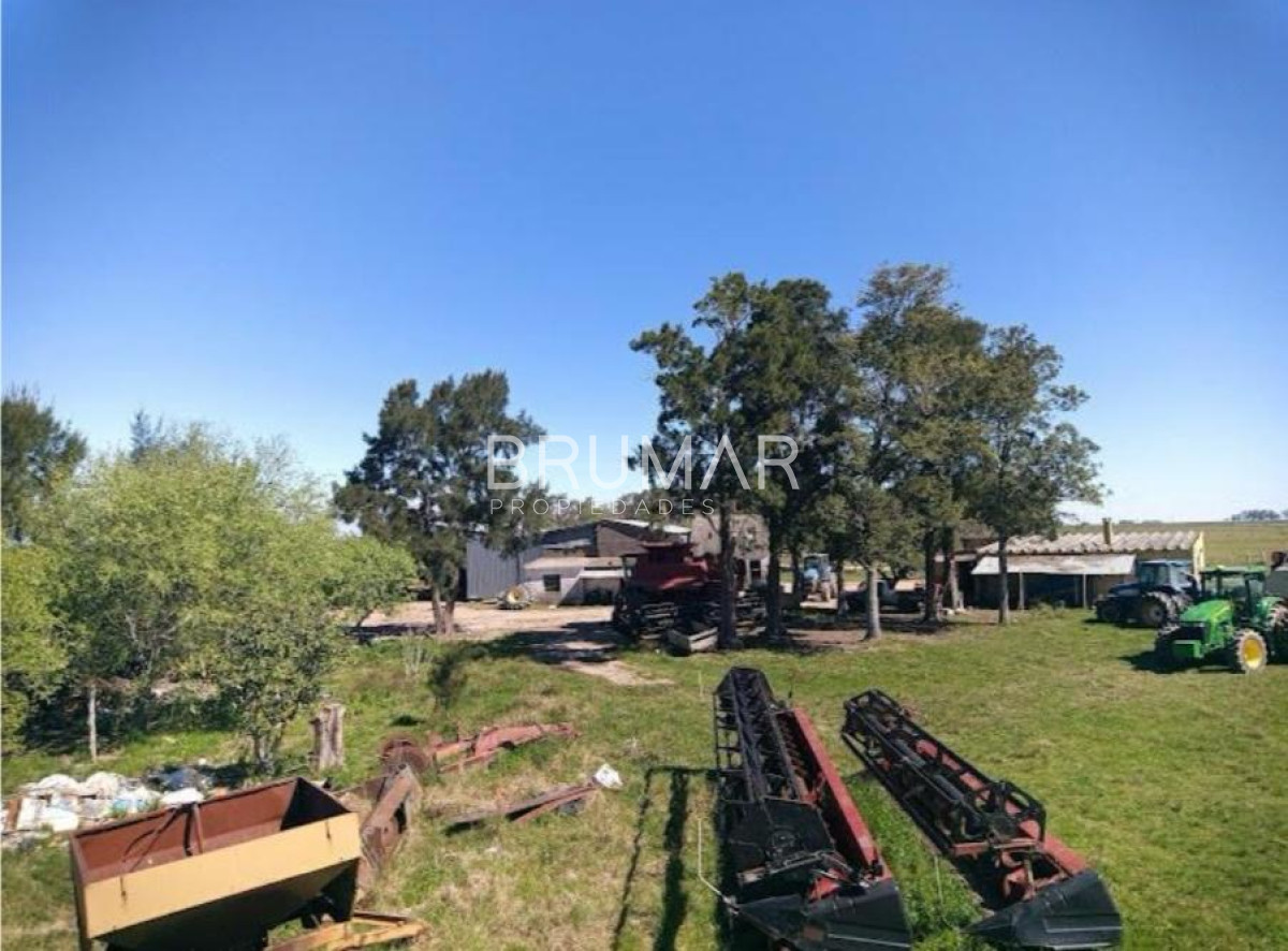 Campo Ref.194 - Venta campo Uruguay treinta y tres 