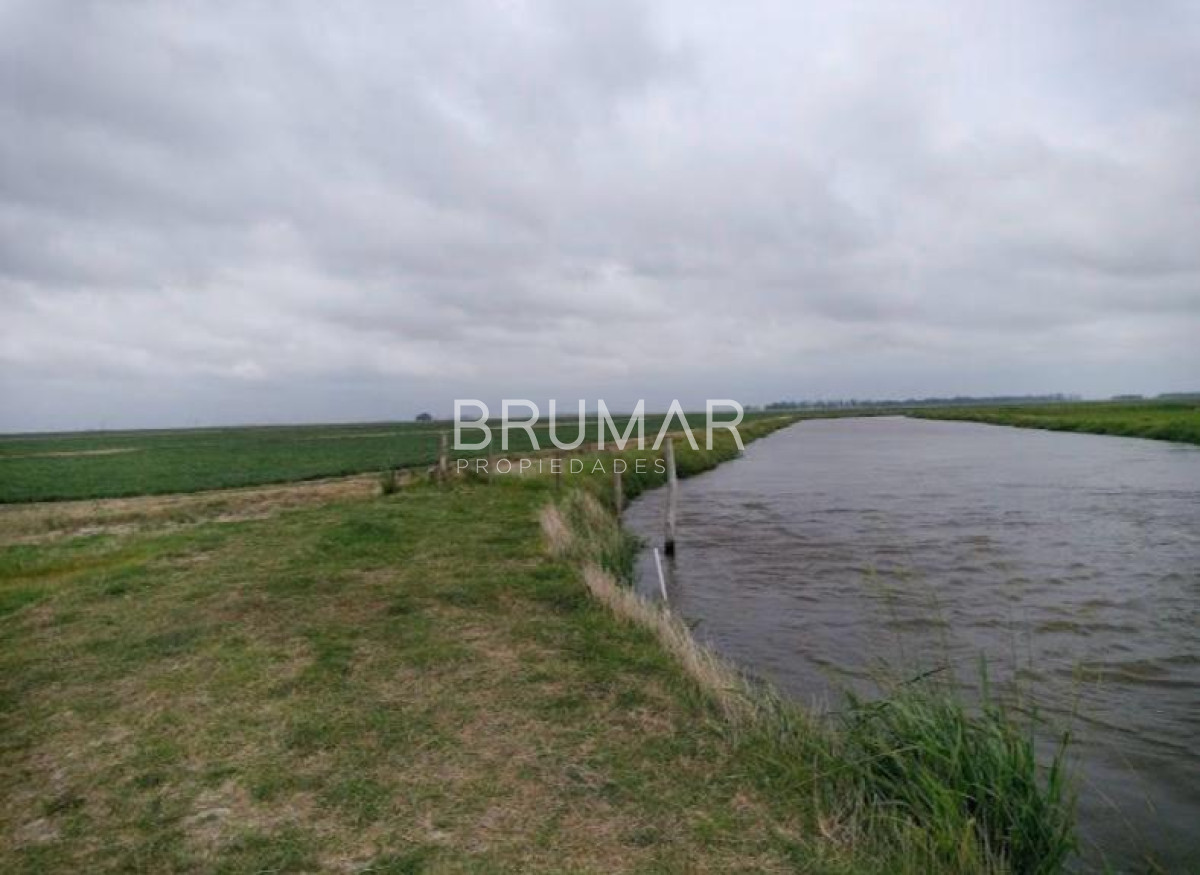 Campo Ref.194 - Venta campo Uruguay treinta y tres 