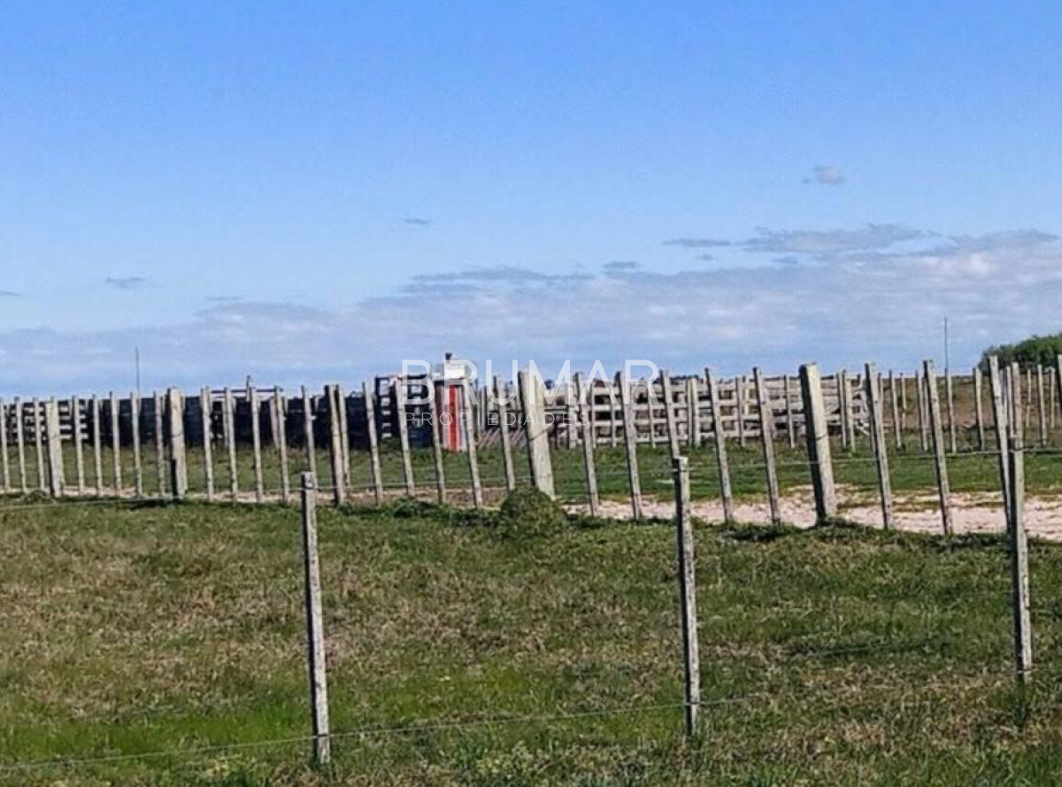 Campo Ref.194 - Venta campo Uruguay treinta y tres 