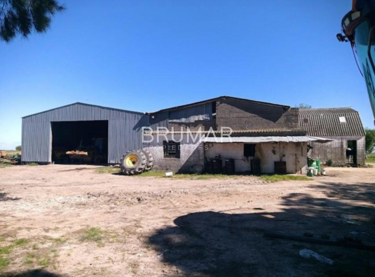 Campo Ref.194 - Venta campo Uruguay treinta y tres 