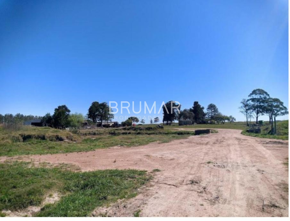 Campo Ref.194 - Venta campo Uruguay treinta y tres 
