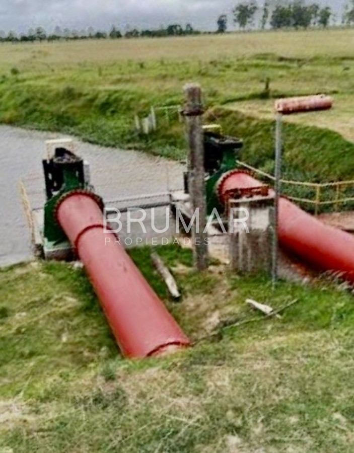 Campo Ref.194 - Venta campo Uruguay treinta y tres 