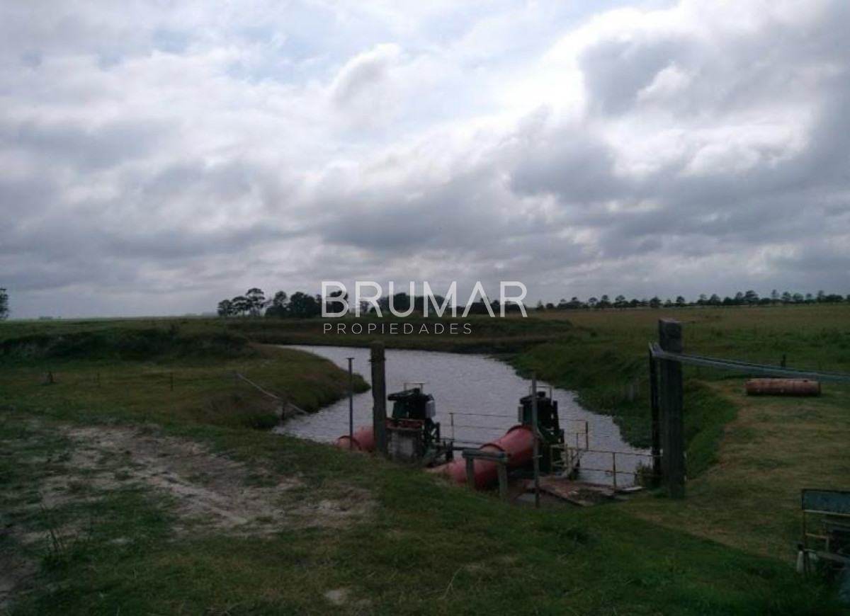 Campo Ref.194 - Venta campo Uruguay treinta y tres 