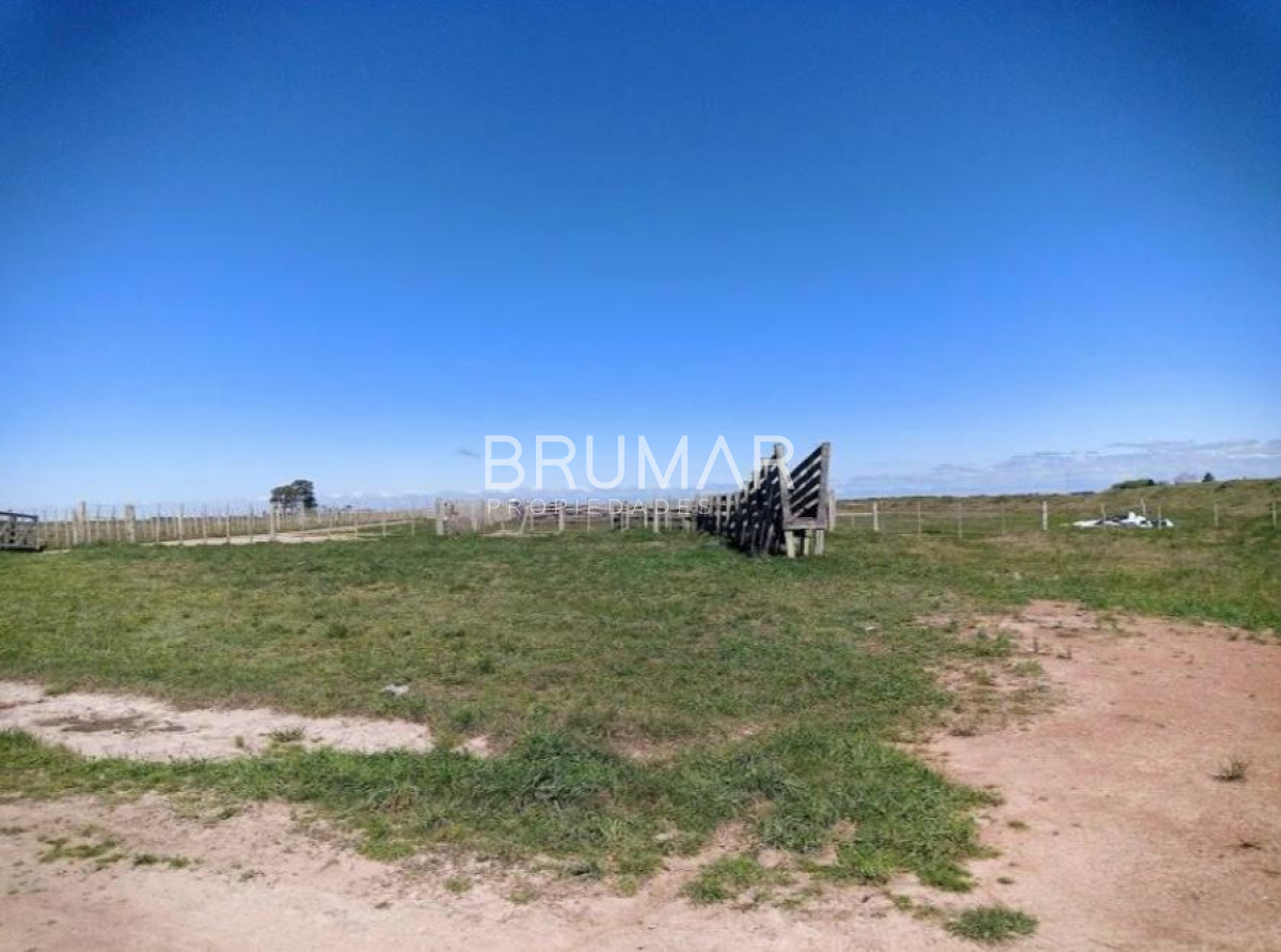 Campo Ref.194 - Venta campo Uruguay treinta y tres 
