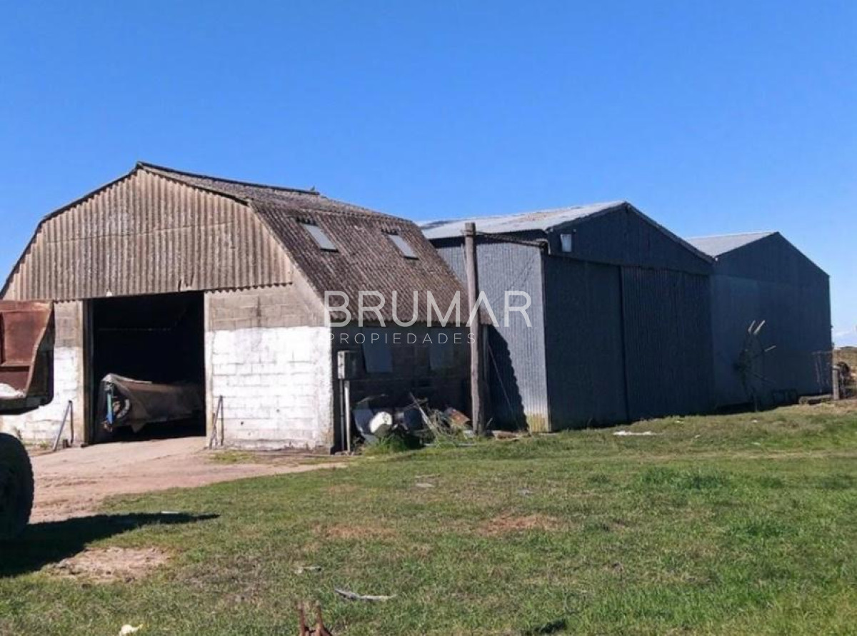 Campo Ref.194 - Venta campo Uruguay treinta y tres 