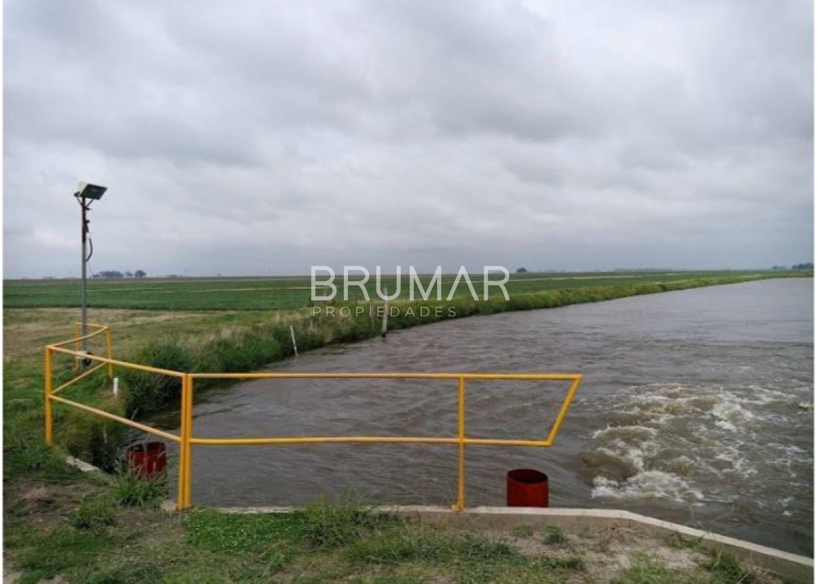 Campo Ref.194 - Venta campo Uruguay treinta y tres 