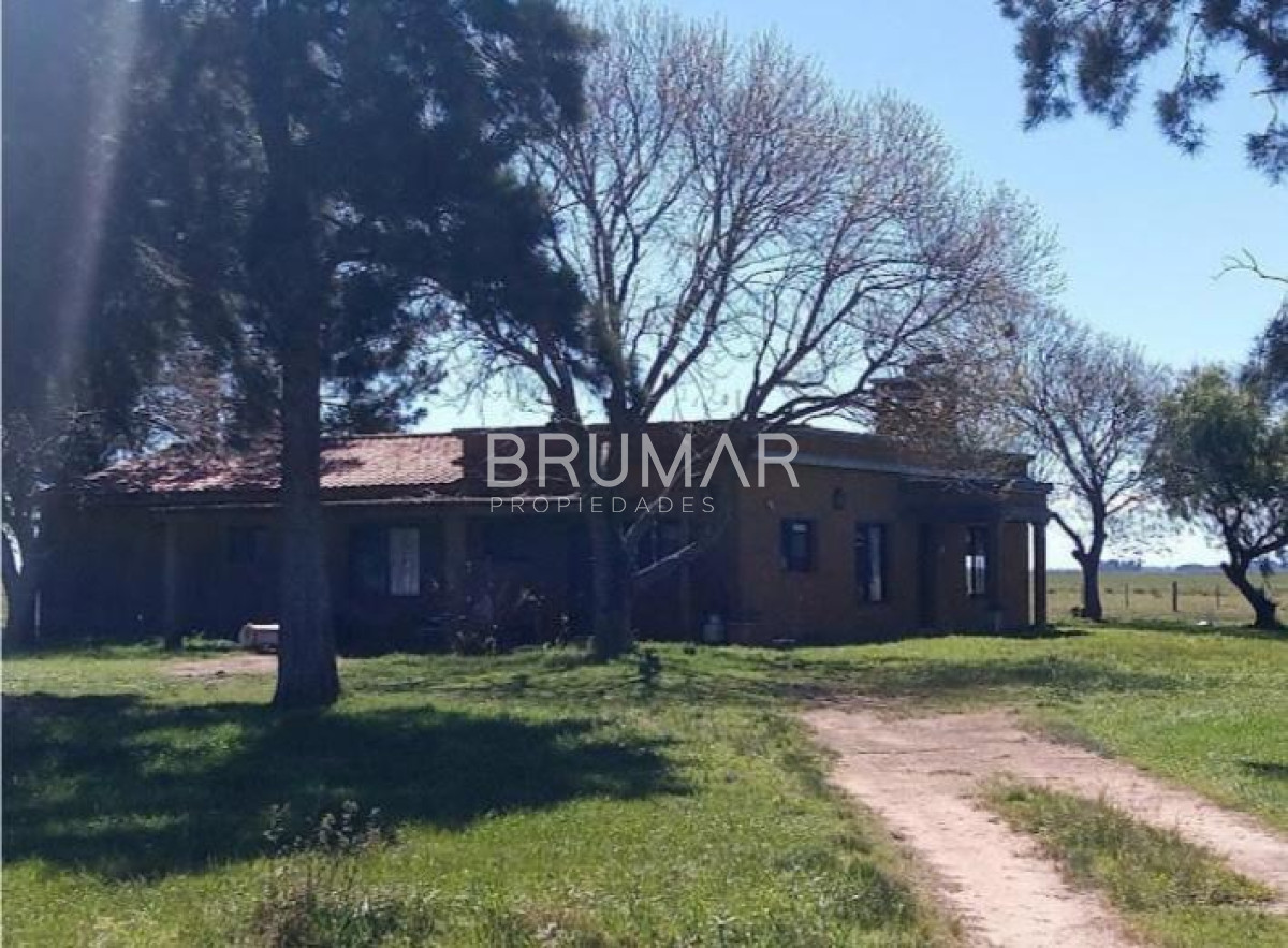 Campo Ref.194 - Venta campo Uruguay treinta y tres 